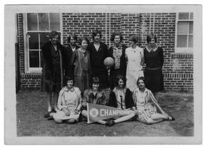 Primary view of object titled 'Arlington High School Volleyball Team'.