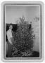 Thumbnail image of item number 1 in: '[School Christmas Tree]'.