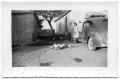 Photograph: [Maxine Watts With Chickens]