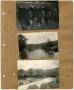 Photograph: [Three Photos of Clear Fork and Cattle on a Scrapbook Page]