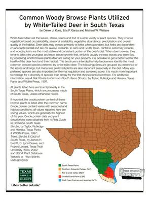 Common Woody Browse Plants Utilized by White-Tailed Deer in South Texas
