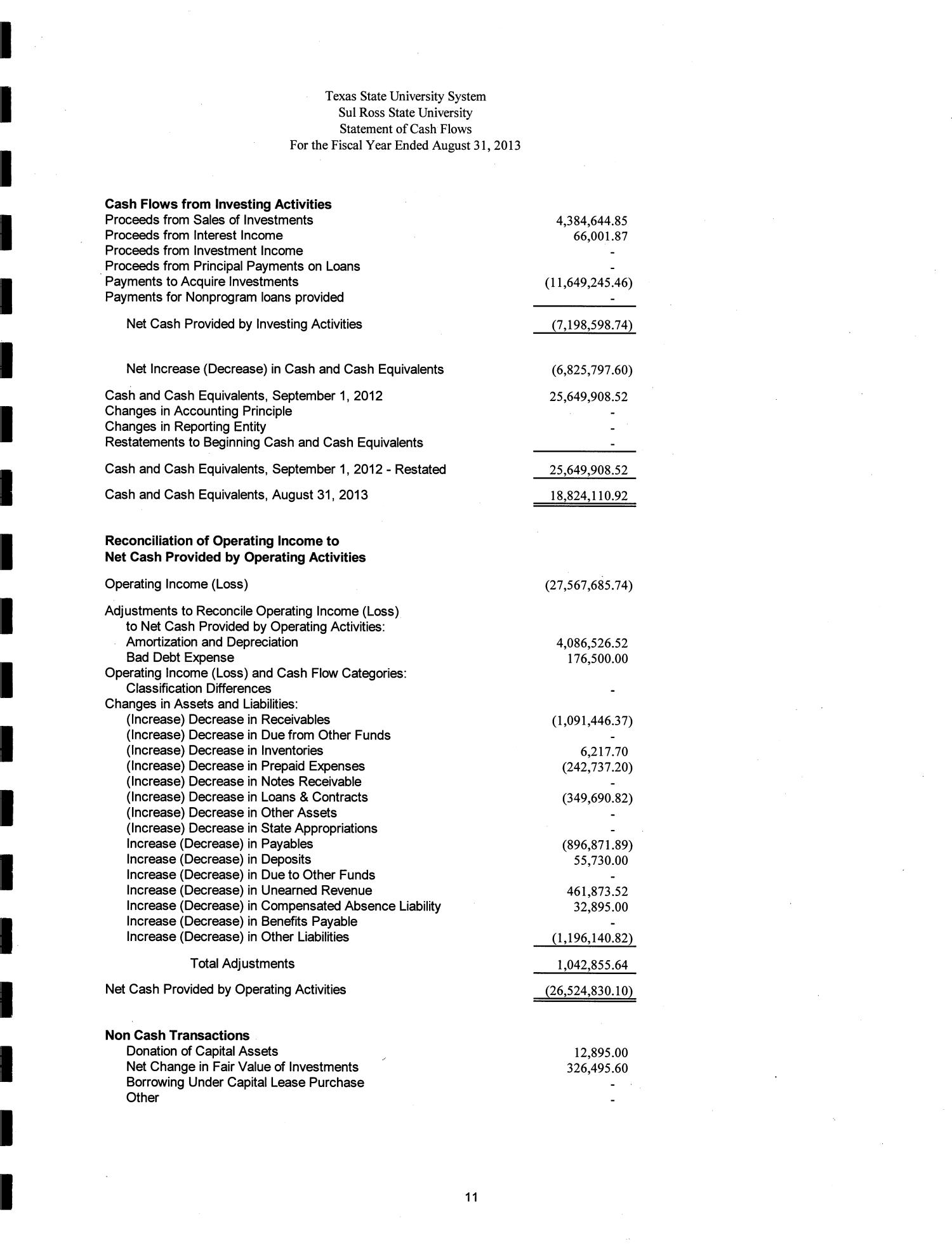 Sul Ross State University Annual Financial Report: 2013
                                                
                                                    11
                                                