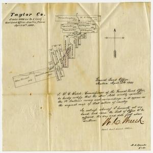 Primary view of object titled '[Taylor County Land Survey]'.