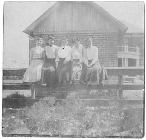 [Group of Young Women Sitting on a Fence]