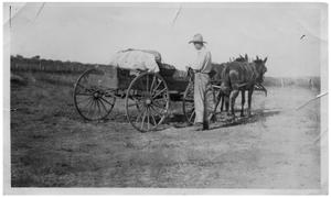 Primary view of object titled '[Man Standing by a Horse-Drawn Wagon]'.