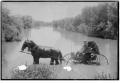 Primary view of [Horse-Drawn Wagon Standing in a River]