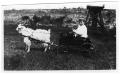 Photograph: [A Ride in a Goat-Driven Wagon]