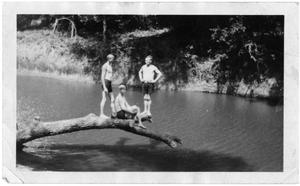 [Three Young Men on a Tree Trunk over Clear Fork River]