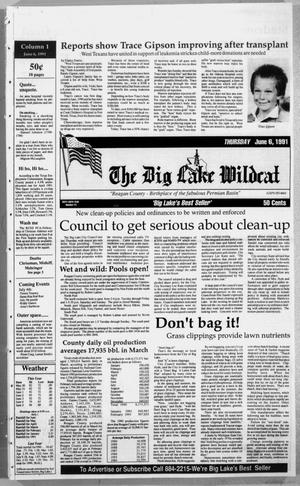 The Big Lake Wildcat (Big Lake, Tex.), Vol. SIXTY-SIXTH YEAR, No. 24, Ed. 1 Thursday, June 6, 1991