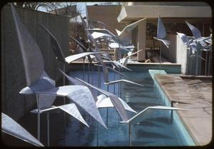 Sculptures of birds in water at HemisFair '68