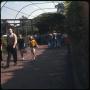 Primary view of People at park