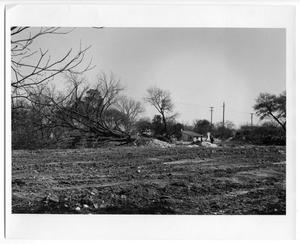 Clearing land for HemisFair '68
