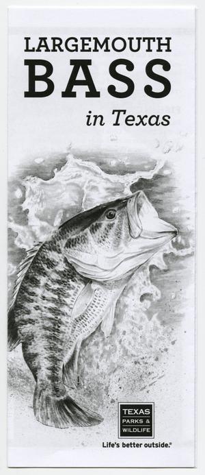 Largemouth Bass in Texas