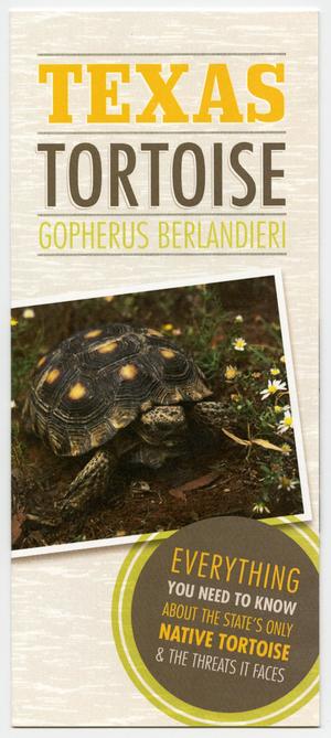 Texas Tortoise: Gopherus berlandieri