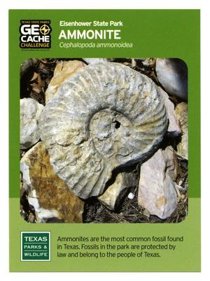 [Trading Card: Ammonite]