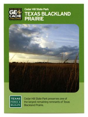 Primary view of object titled '[Trading Card: Texas Blackland Prairie]'.