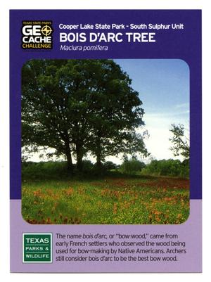 [Trading Card: Bois d'Arc Tree]