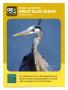 Text: [Trading Card: Great Blue Heron]