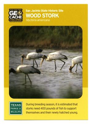 [Trading Card: Wood Stork]