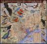 Map: The Great Texas Coastal Birding Trail: Upper Texas Coast