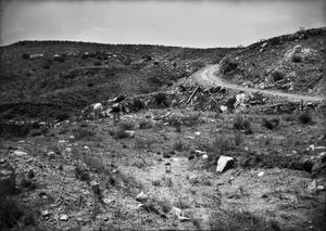 Primary view of object titled '[Antelope Creek]'.