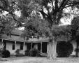 Photograph: [Caldwell Ranch Ranch House, (Side oblique)]