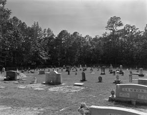 [Old Founder's Cemetery]