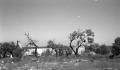 Photograph: [Fort McKavett, (Probably ruins of commissary, looking north)]
