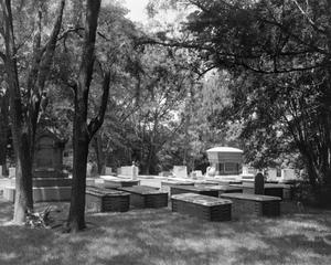 [Thompson Cemetery]