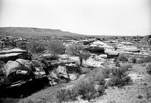 [Rocky Dell, (Looking west at shelter)]
