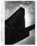 Photograph: [Love Field : Southwest Airlines Aircraft Tail Fin]