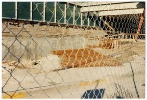 [Dallas Love Field Airport : Construction Behind Fence]