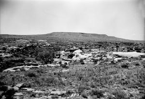 [Rocky Dell, (Looking northeast)]
