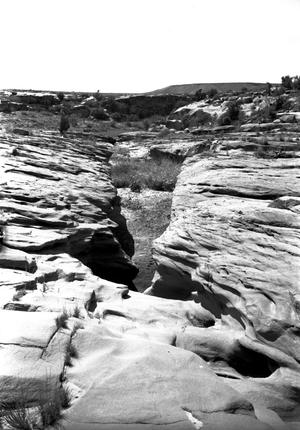Primary view of object titled '[Rocky Dell, (Springs looking west)]'.