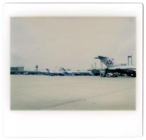 [Dallas/Fort Worth Airport : American Airlines Aircraft]