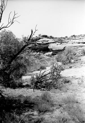 [Rocky Dell, (Shelter looking northwest)]