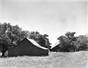 [Jacob Olsen House, (North view of barns)]