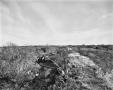 Photograph: [Perone Ranch (Palafox), (Detail of dike (Irrigation system))]