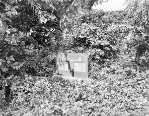 [Maverick Ranch, (Northeast view of Fromme grave)]