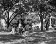 Photograph: [State Cemetery]