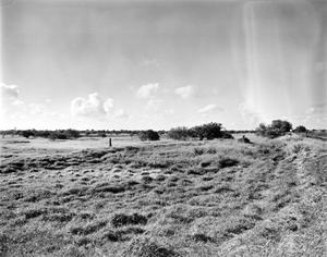 [Fort Taylor Breastworks, (Looking Southeast)]