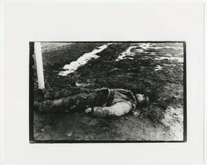 Primary view of object titled '[A Dead German Soldier on the Ground]'.