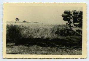 [Photograph of Artillery in Field]