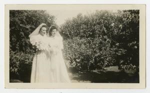 [Photograph of Women in Wedding Apparel]