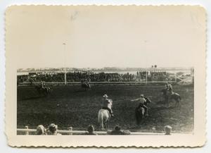 Primary view of object titled '[Photograph of Horsemen at a Rodeo]'.