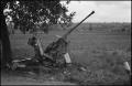 Primary view of [Photograph of an Anti-Aircraft Gun]