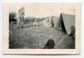 Photograph: [Photograph of a Dog at a Military Camp]