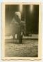 Photograph: [Photograph of Circus Elephant Performing]
