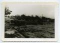 Photograph: [Photograph of Army Vehicles]