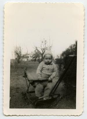 [Photograph of a Small Child in a Stroller]